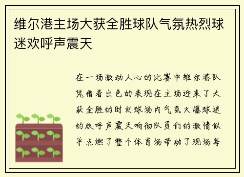 维尔港主场大获全胜球队气氛热烈球迷欢呼声震天