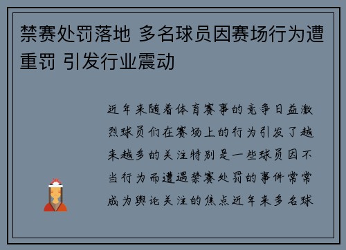 禁赛处罚落地 多名球员因赛场行为遭重罚 引发行业震动