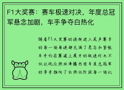 F1大奖赛：赛车极速对决，年度总冠军悬念加剧，车手争夺白热化